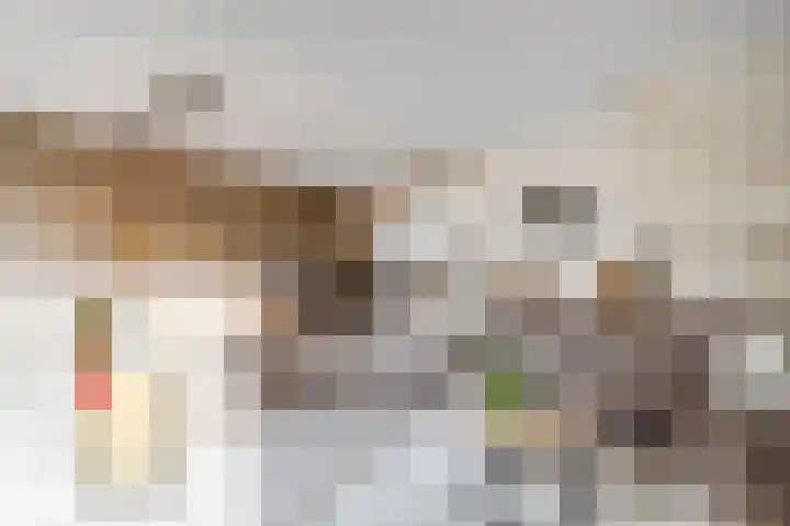 de Eik 50 Hellevoetsluis thumbnail 17