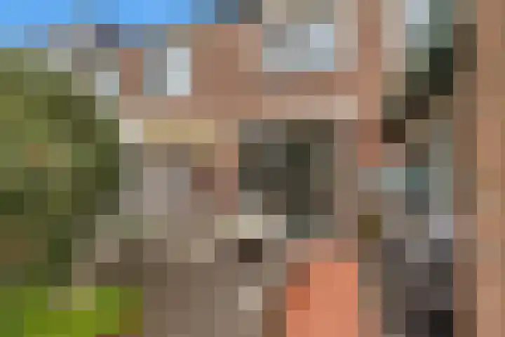 de Eik 50 Hellevoetsluis thumbnail 25