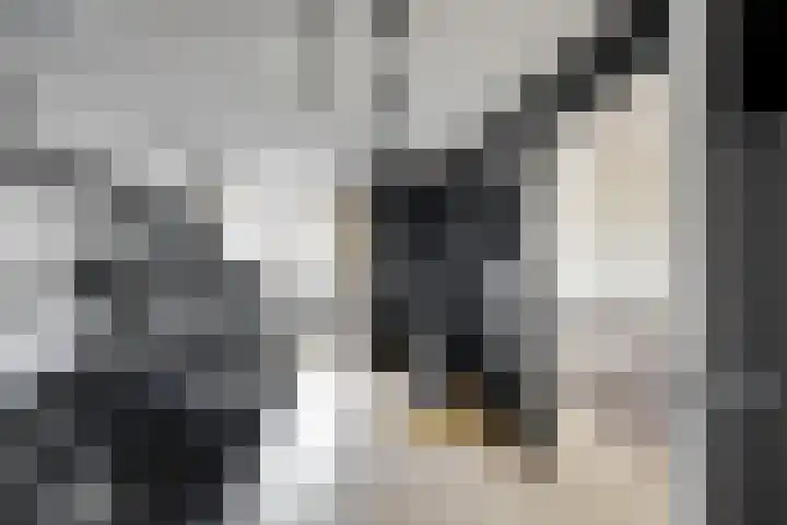 de Eik 50 Hellevoetsluis thumbnail 40