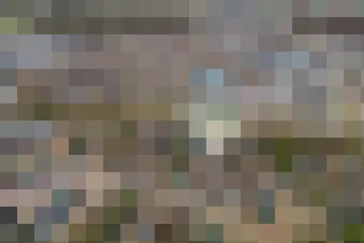 de Eik 50 Hellevoetsluis thumbnail 47