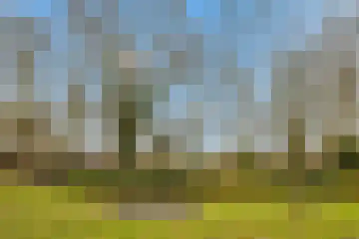 de Eik 50 Hellevoetsluis thumbnail 6