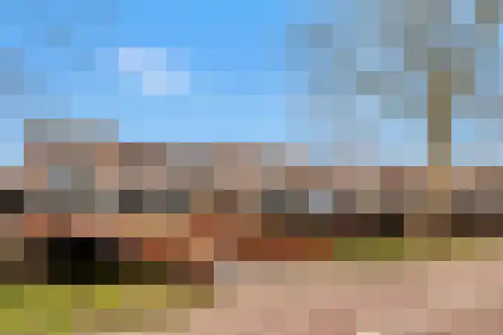 de Eik 50 Hellevoetsluis thumbnail 7