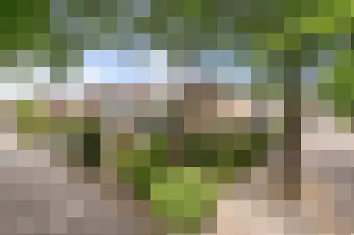 de Eik 69 dans Didam