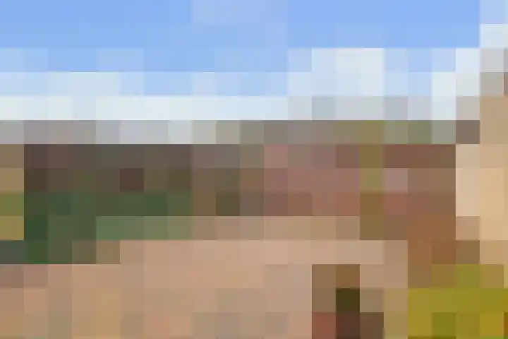 de Eik 77 Didam thumbnail 14