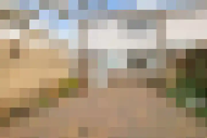 de Eik 77 Didam foto 2