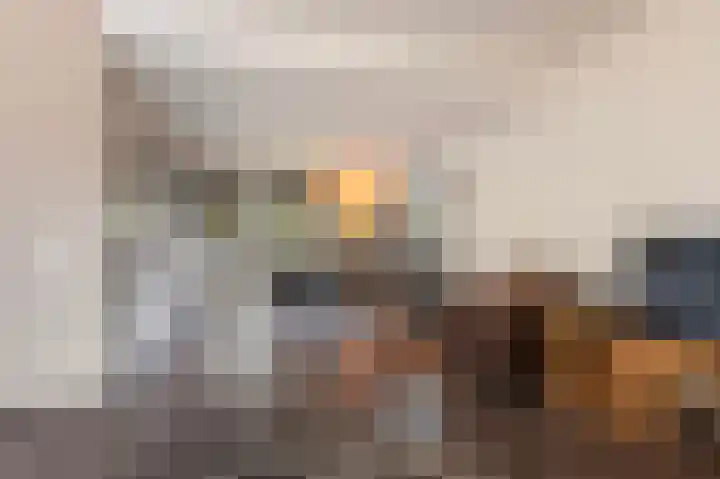 De Eikelaars 6 Vroomshoop thumbnail 10