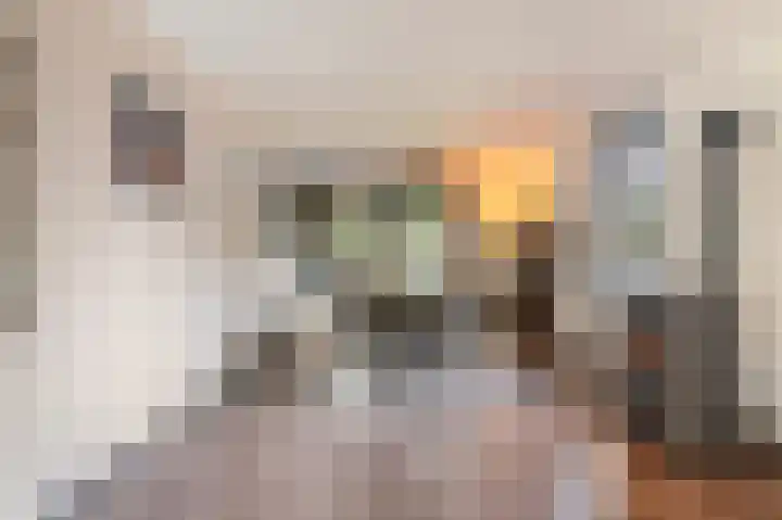 De Eikelaars 6 Vroomshoop thumbnail 11