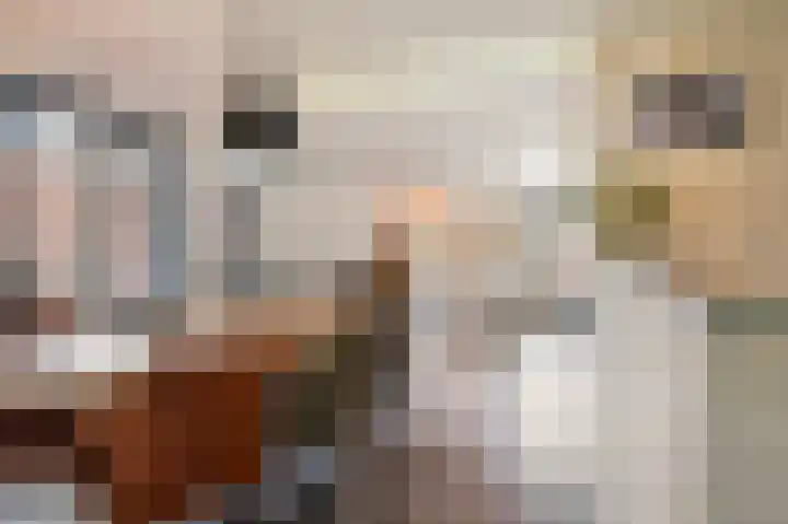 De Eikelaars 6 Vroomshoop thumbnail 14