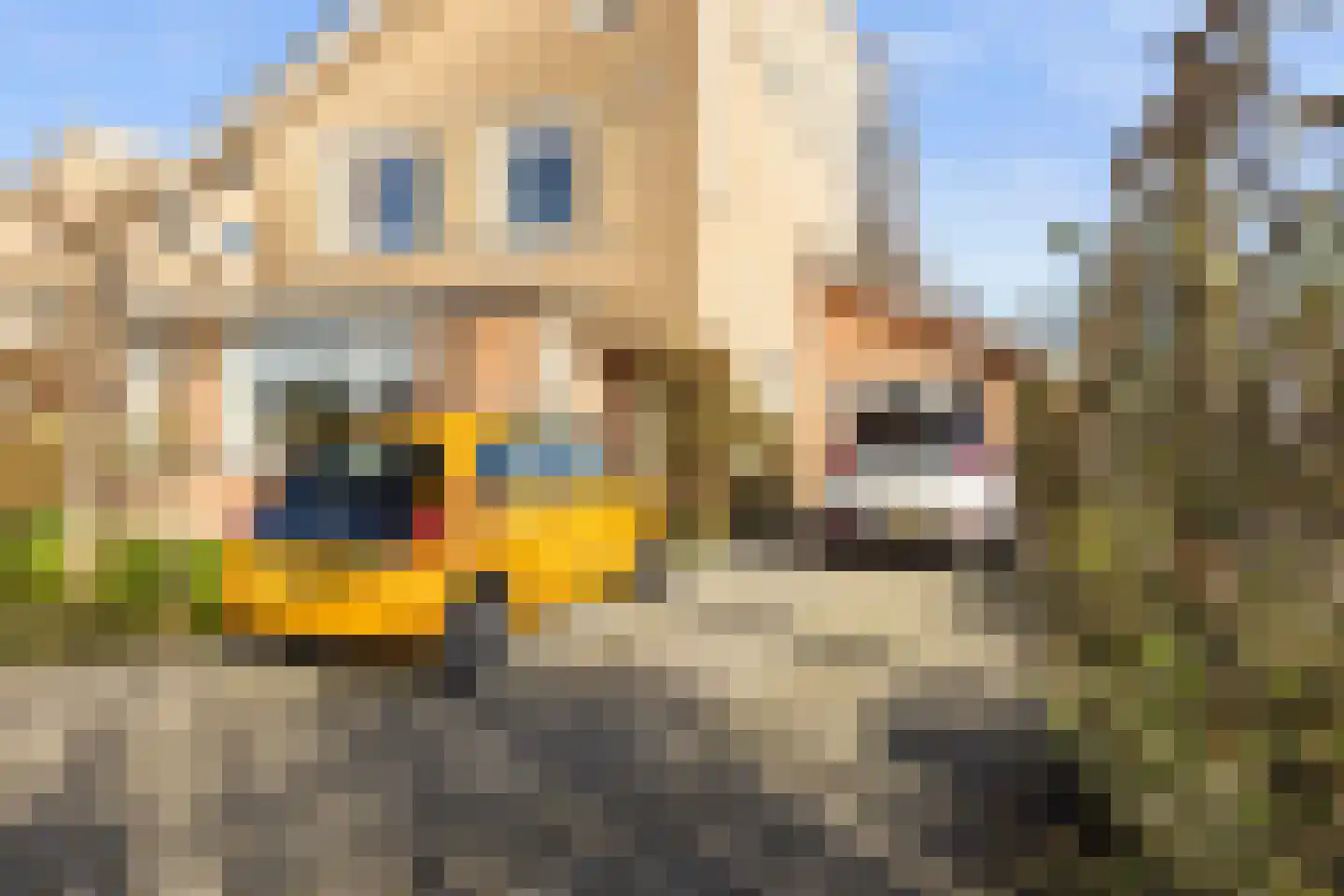 De Eikelaars 6 Vroomshoop thumbnail 15