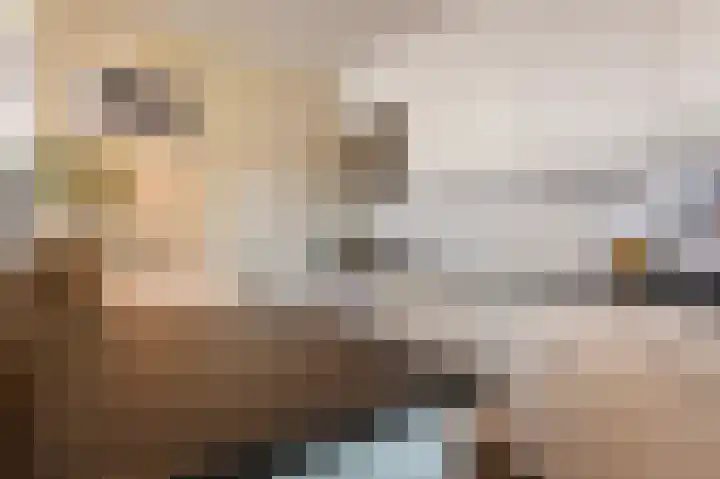 De Eikelaars 6 Vroomshoop thumbnail 16