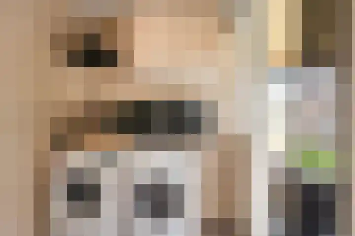 De Eikelaars 6 Vroomshoop thumbnail 19