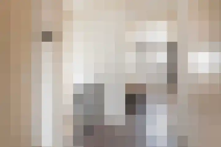 De Eikelaars 6 Vroomshoop thumbnail 22