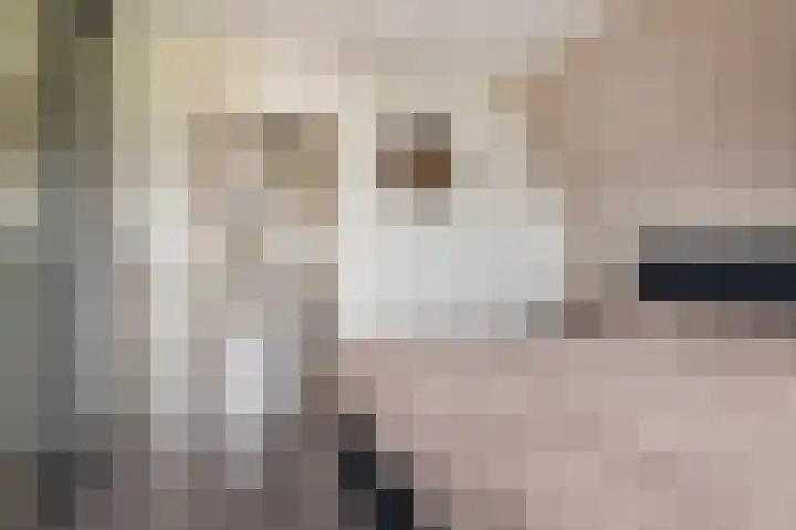 De Eikelaars 6 Vroomshoop thumbnail 25