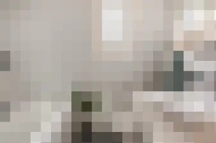 De Eikelaars 6 Vroomshoop thumbnail 26