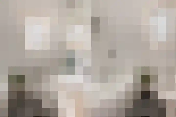De Eikelaars 6 Vroomshoop thumbnail 27