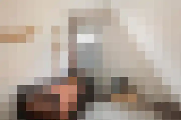 De Eikelaars 6 Vroomshoop thumbnail 29