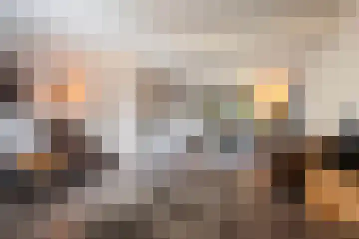 De Eikelaars 6 Vroomshoop foto 3