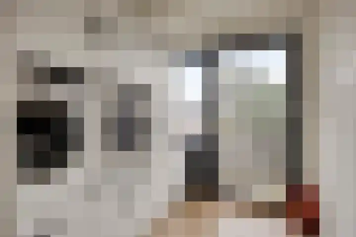 De Eikelaars 6 Vroomshoop thumbnail 32