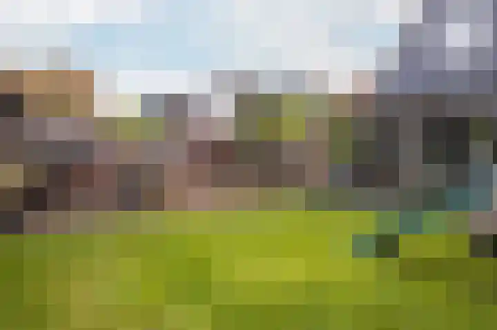 De Eikelaars 6 Vroomshoop thumbnail 39