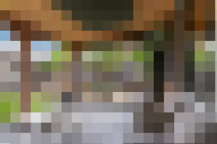 De Eikelaars 6 Vroomshoop thumbnail 40