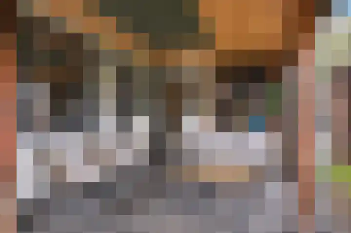 De Eikelaars 6 Vroomshoop thumbnail 41