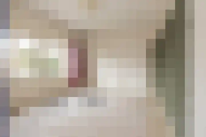 De Eikelaars 6 Vroomshoop thumbnail 43