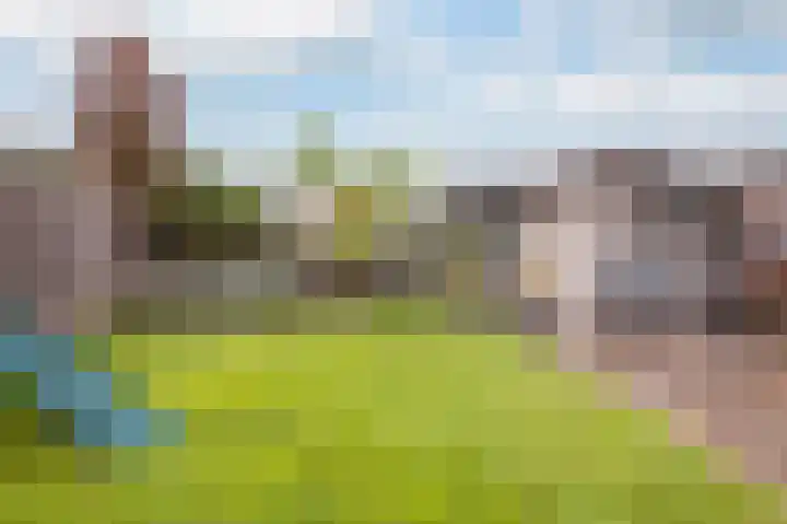 De Eikelaars 6 Vroomshoop thumbnail 43