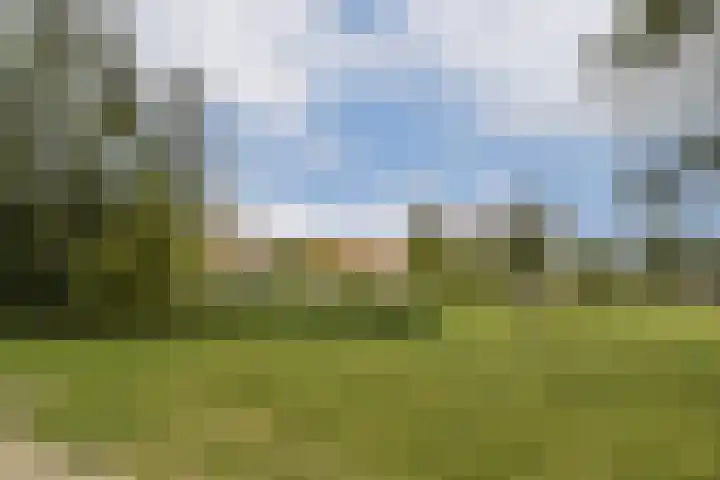 De Eikelaars 6 Vroomshoop thumbnail 45