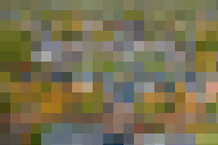 De Eikelaars 6 Vroomshoop thumbnail 45