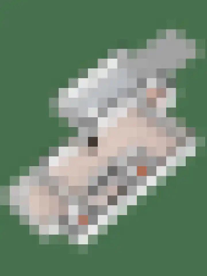 De Eikelaars 6 Vroomshoop thumbnail 48