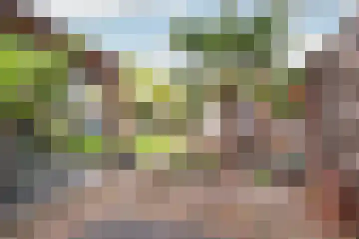 De Eikelaars 6 Vroomshoop thumbnail 5