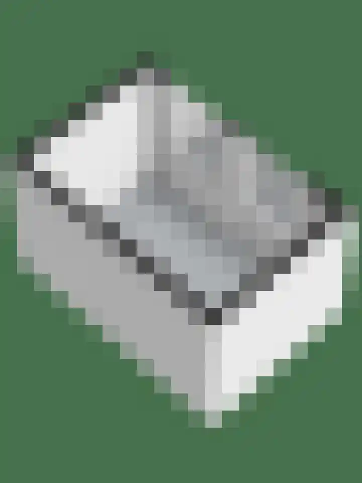 De Eikelaars 6 Vroomshoop thumbnail 52