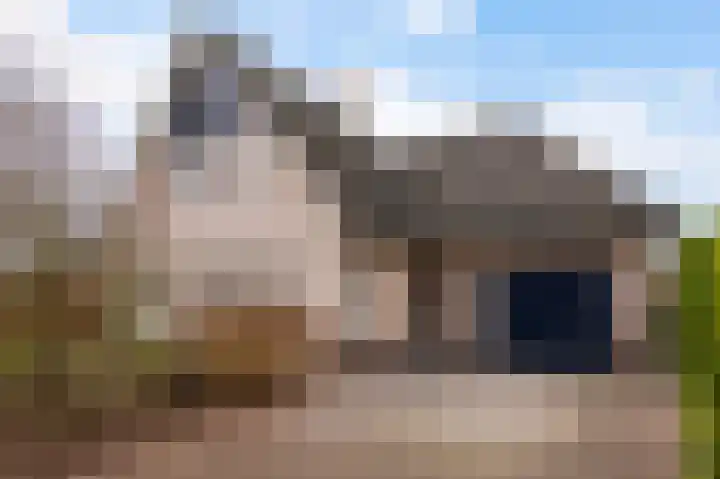 De Eiken 21 Steenderen