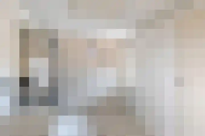 De Eiken 23 Boekel thumbnail 19