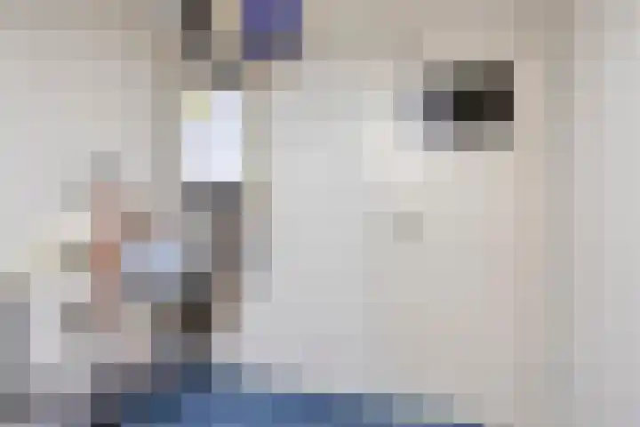 De Eiken 23 Boekel thumbnail 30