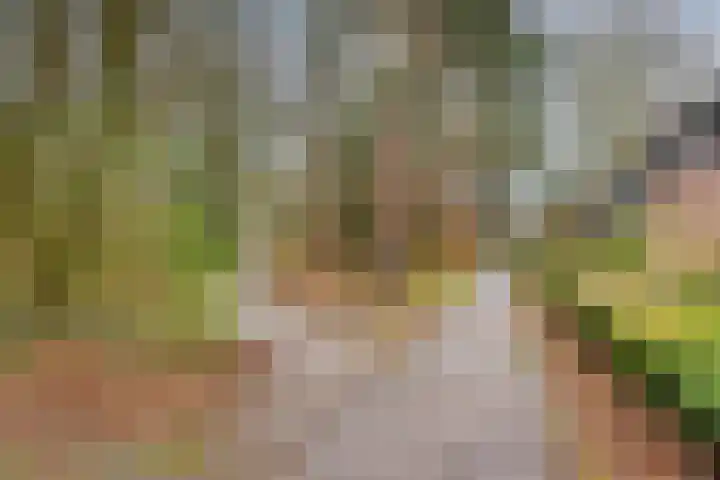 De Eiken 23 Boekel thumbnail 37