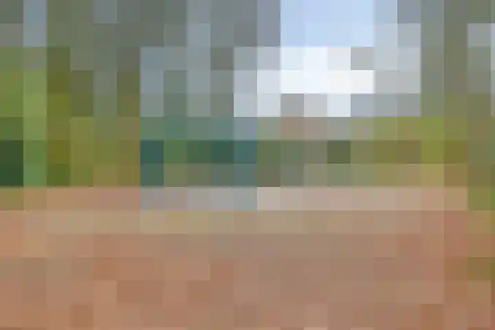 De Eiken 23 Boekel thumbnail 38