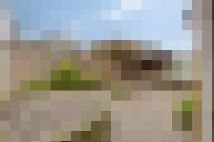 De Eiken 23 Boekel thumbnail 5