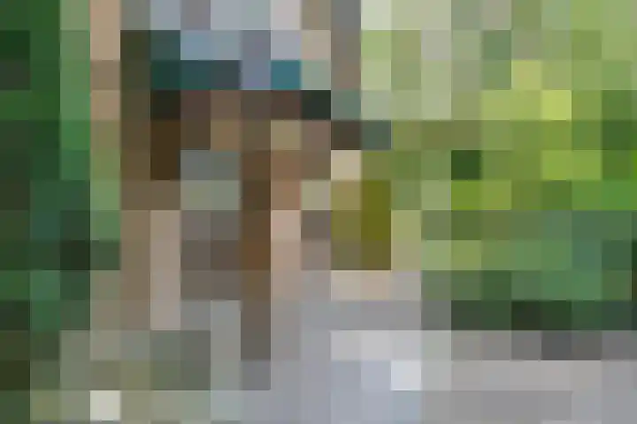 De Eiken 43 Boekel thumbnail 10