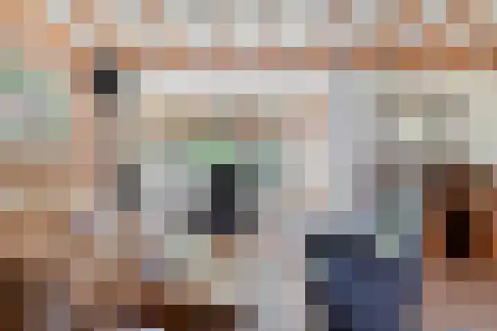 De Eiken 43 Boekel thumbnail 17