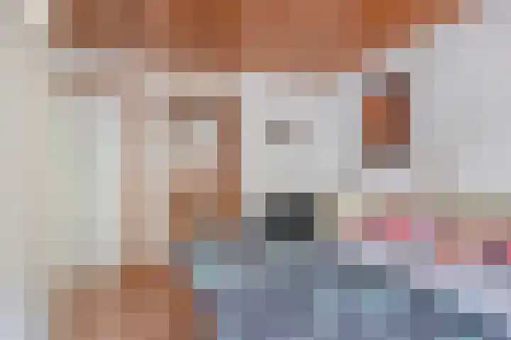 De Eiken 43 Boekel thumbnail 33