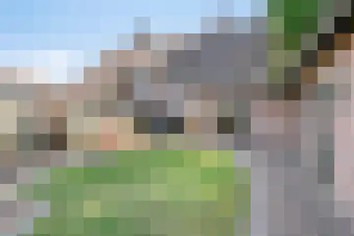 De Eiken 43 Boekel thumbnail 5