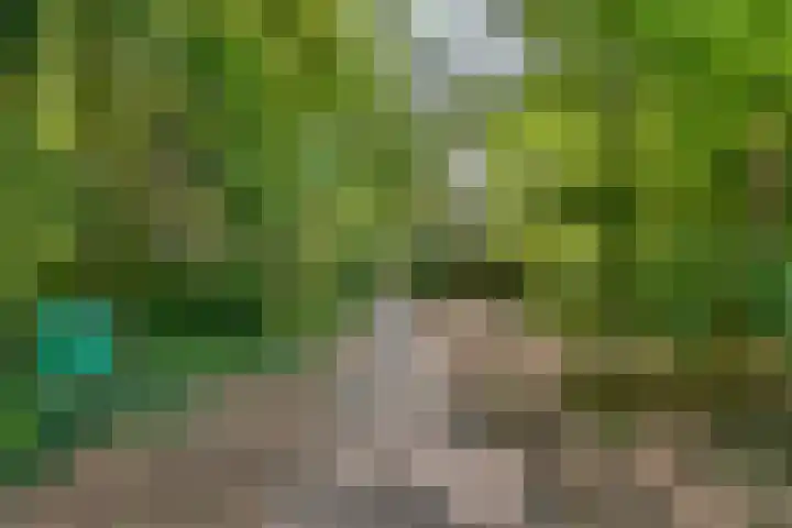 De Eiken 43 Boekel thumbnail 56