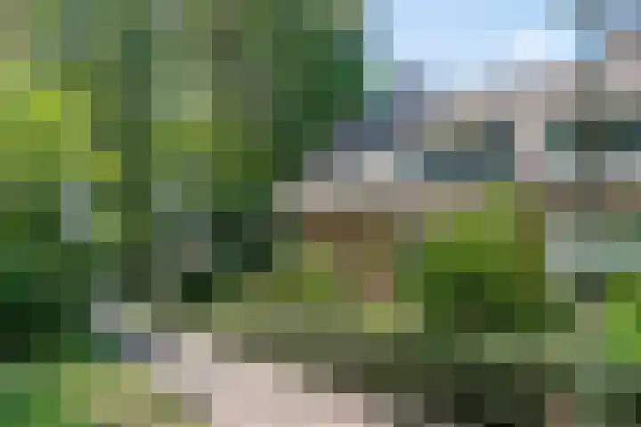 De Eiken 43 Boekel thumbnail 8