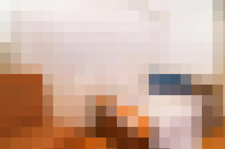 De Eiken 55 Bedum thumbnail 25