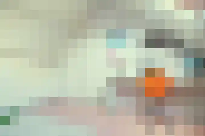 De Eiken 55 Bedum thumbnail 34