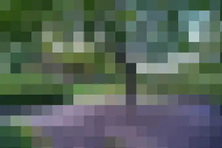 De Eiken 55 Bedum thumbnail 42