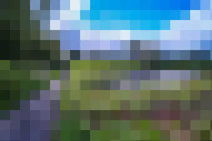 De Eiken 55 Bedum thumbnail 43