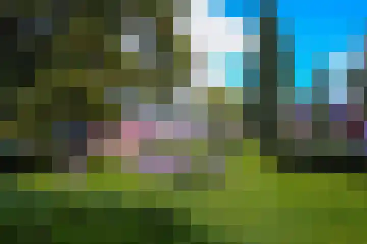 De Eiken 55 Bedum thumbnail 44