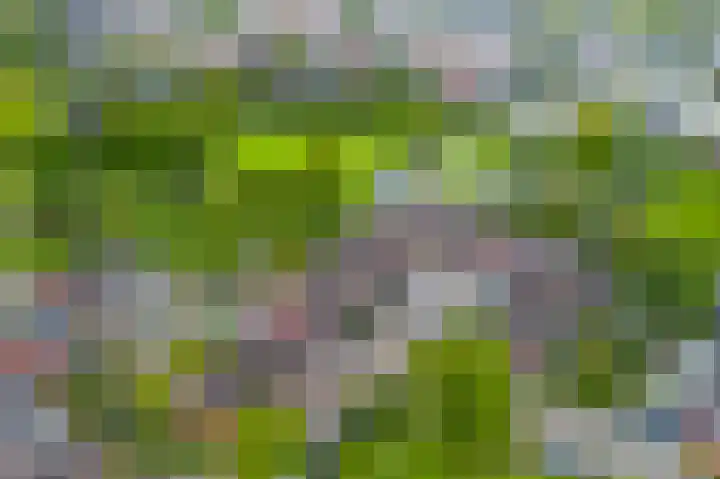 De Eiken 55 Bedum thumbnail 45